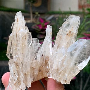 Natuurlijke Faden-kwartscluster uit Pakistan – Zeldzaam genezend kristal met zichtbare draadachtige insluitsels / 234 gram