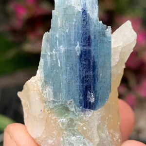Natürliches Blaues Kyanit Kristallmuster aus Pakistan / 42 Gramm