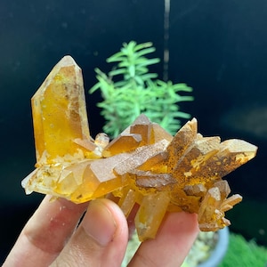 Golden Healer Quartz Terminated Crystal Specimen from Pakistan / 80 Grams