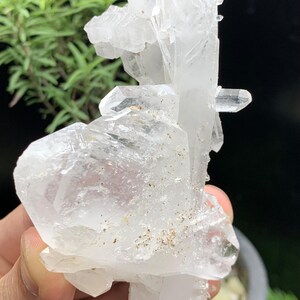 Faden Quartz Cluster: Rare Healing Crystal from Pakistan (155 Grams, 7x2 Inches