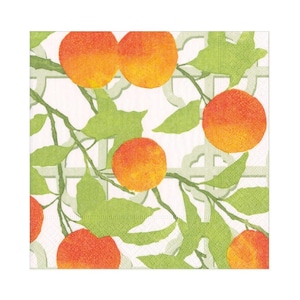 Orange Trellis Servietten - Lunchgröße - 3er Set - Decoupage Papierservietten - Bastelgewebe - Chinoiserien Blumen-Servietten
