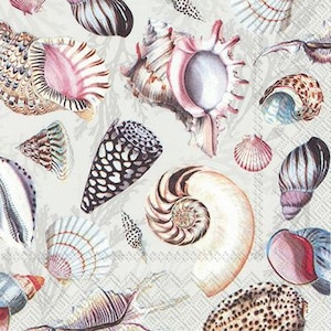 Shells of the Sea napkins - cocktail size - set of 3 - coastal decoupage paper napkins - crafting tissue - seashells