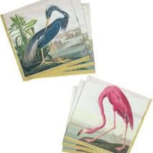 Tovaglioli Audubon Birds - formato cocktail - set da 3 - tovaglioli di carta per decoupage costiero - carta velina per bricolage - uccelli chinoiserie
