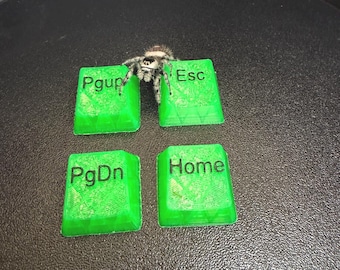 Keycap spinklimset | ESC, Home, PgUp & PgDn magnetische behuizing decor | Accessoire tankhabitat