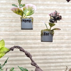 May include: Two gray keyboard keycaps used as miniature planters, each topped with green moss and a small artificial plant. One keycap is labeled Home and the other Esc. A small black and white spider rests on the plant in the Esc keycap.