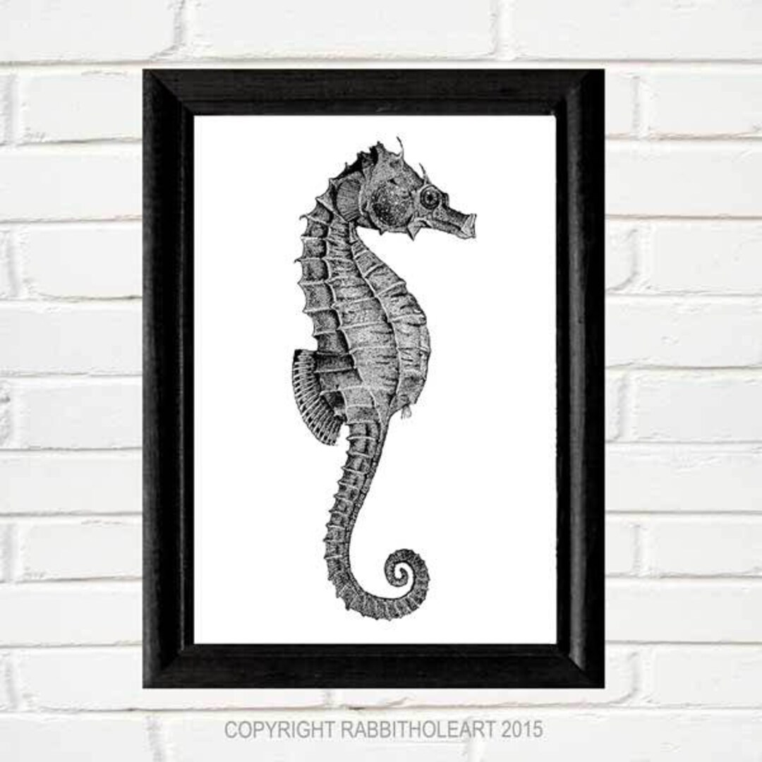 SEAHORSE VINTAGE Illustration Art Print Wall Decor Poster - Etsy