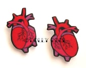 Anatomical Heart Earrings by Dolly Cool