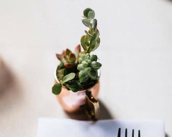 Wedding favors, Assorted shot glasses with succulent arrangements, moscow mule with succulents