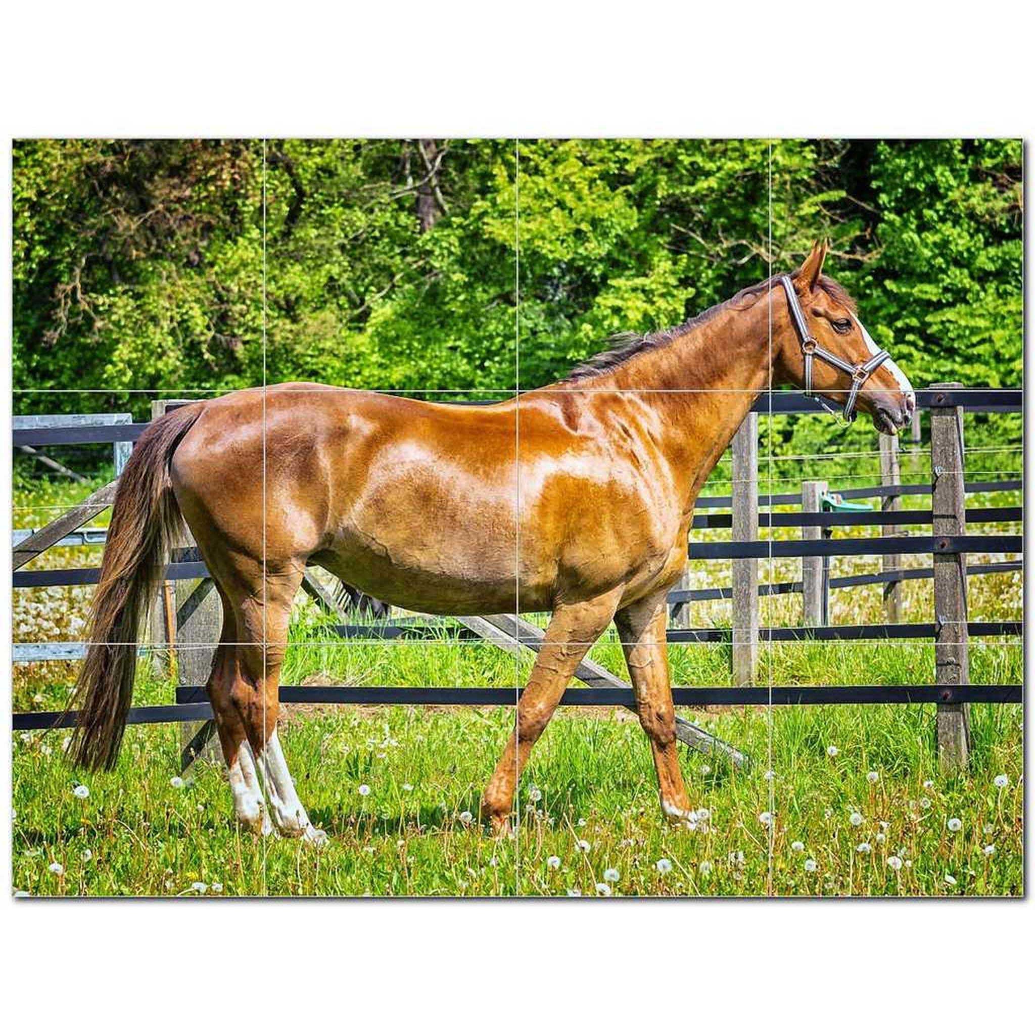 Top 10 Pferd Foto Keramik Fliesen Wandbild Küche Backsplash | Etsy