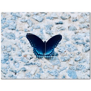 Butterfly Photo Ceramic Tile Mural: Kitchen Backsplash, Shower