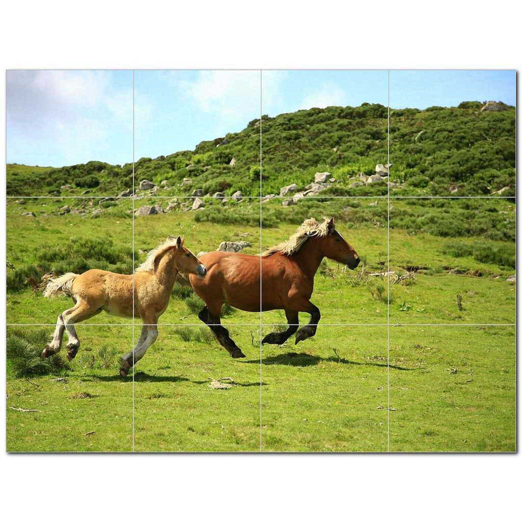 Top 10 Pferd Foto Keramik Fliesen Wandbild Küche Backsplash | Etsy