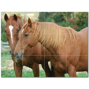 Top 10 Horse Photo Ceramic Tile Mural Kitchen Backsplash Bathroom Shower ANY Indoor Wall v5: (12) Sizes Available