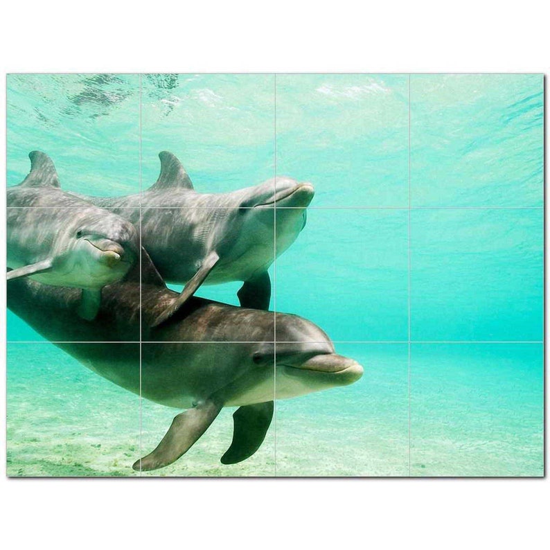 Top 10 Dolphin Photo Ceramic Tile Mural Kitchen Backsplash - Etsy