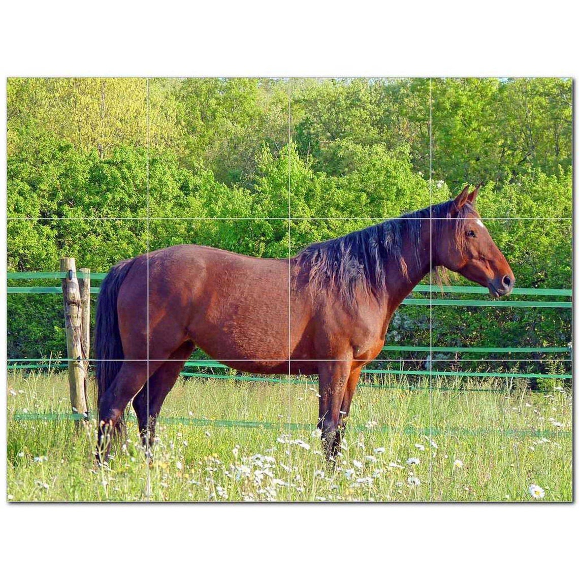 Top 10 Pferd Foto Keramik Fliesen Wandbild Küche Backsplash | Etsy