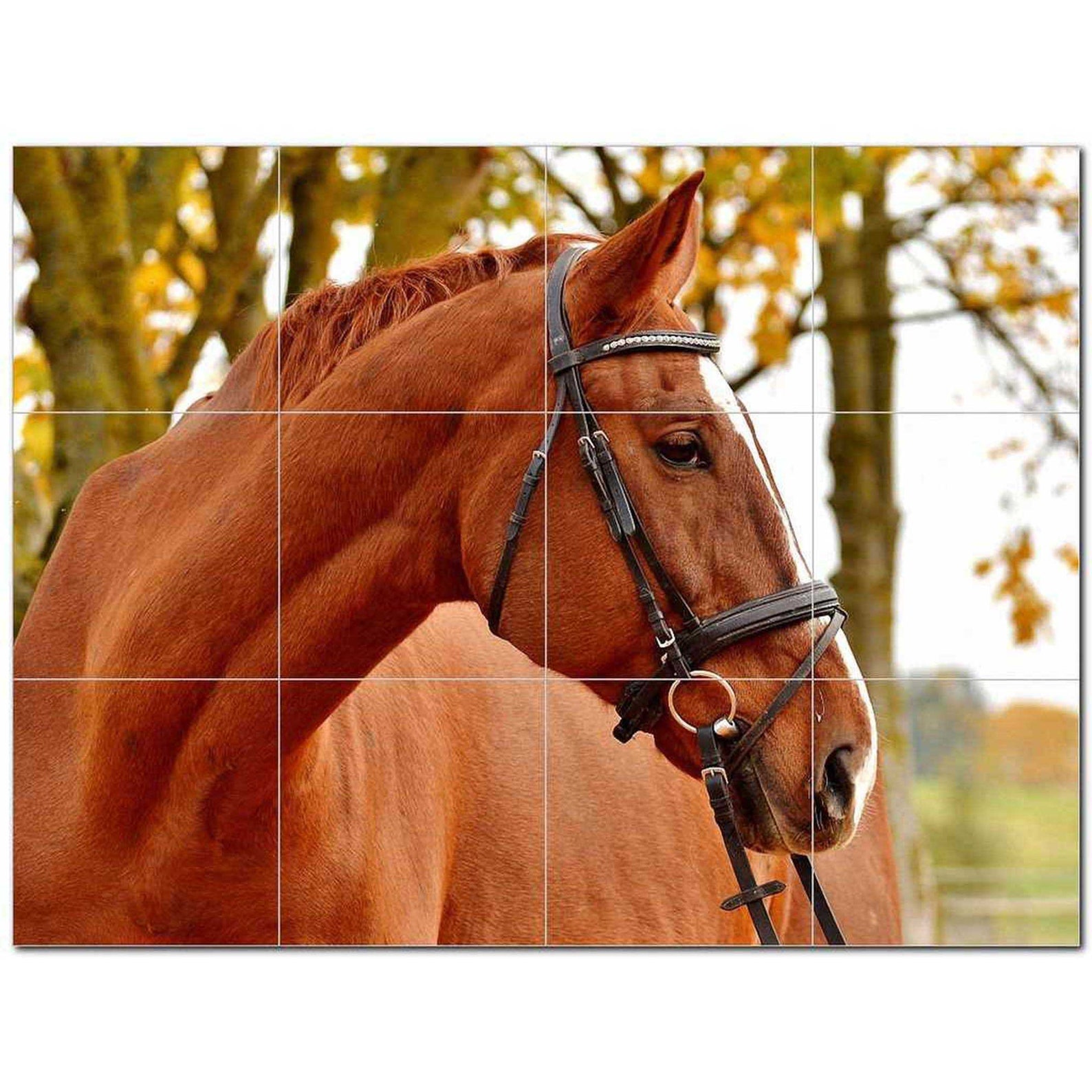 Top 10 Pferd Foto Keramik Fliesen Wandbild Küche Backsplash | Etsy
