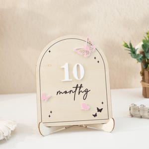 Carte d'étape en bois avec arche en forme de marguerite, cartes d'étape importante pour bébés fleurs/papillons, étape importante du mois avec marguerite, accessoire photo ses filles, cadeaux de baby shower