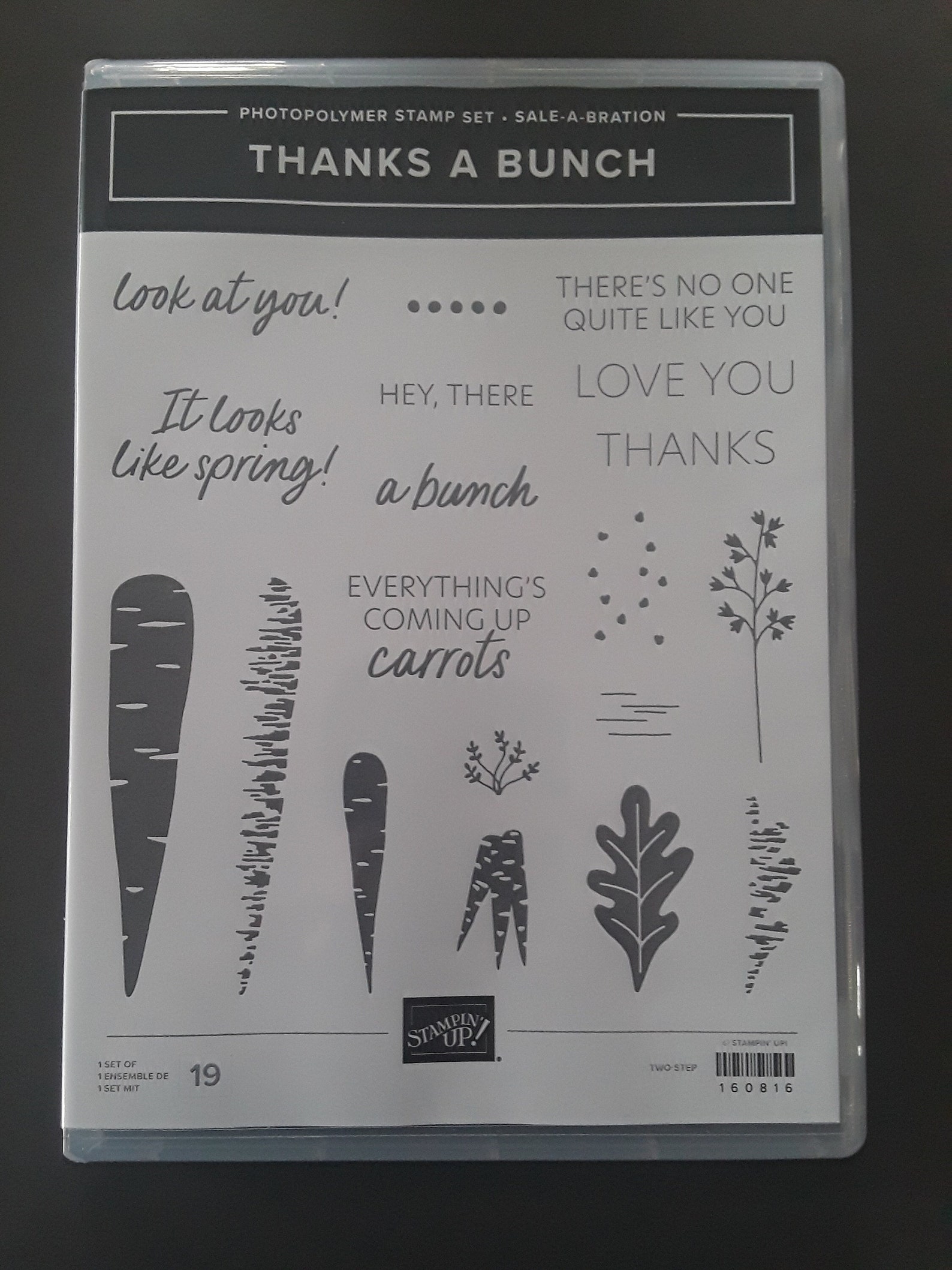 Stampin’ Up! Thanks A Bunch SAB Retired 19 Piece Photopolymer Stamp Set ...