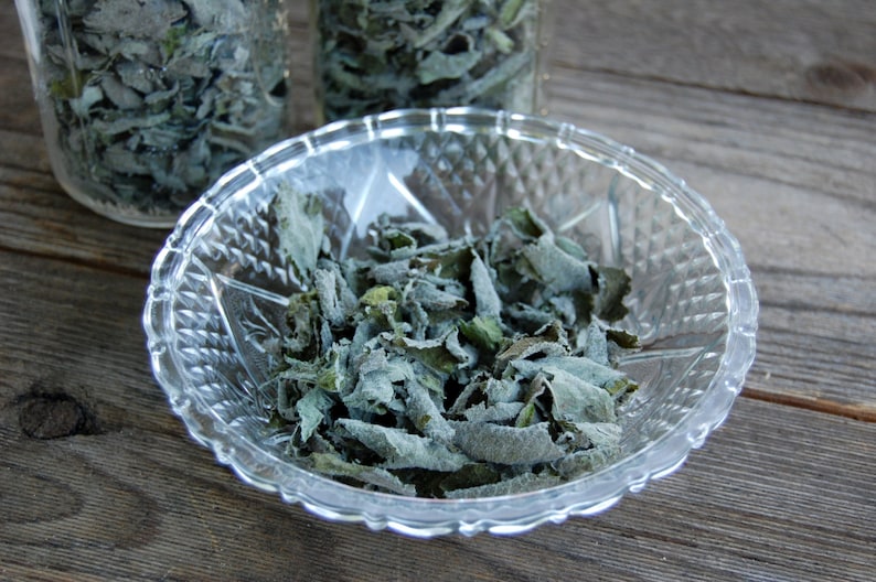 Dried Apple Mint Leaves Homegrown 1/4 & 1/2 Oz. Etsy