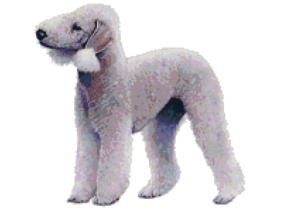 bedlington terrier soft toy