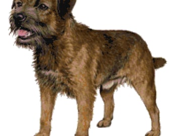 Border Terrier Dog Counted Cross Stitch Pattern
