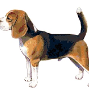 Beagle Dog Counted Cross Stitch Pattern