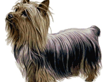 Silky Terrier Dog Counted Cross Stitch Pattern