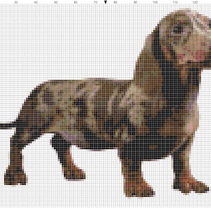 Dapple Dachshund Dog Counted Cross Stitch Pattern