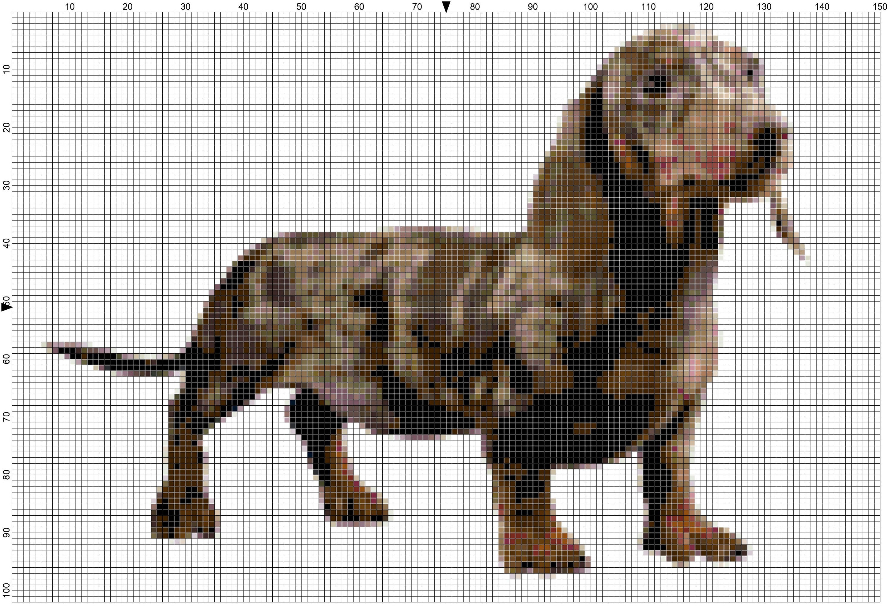 Single dapple dachshund 2025
