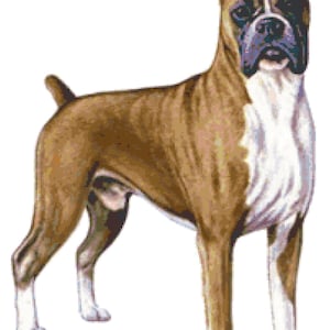 Boxer Dog Counted Cross Stitch Pattern