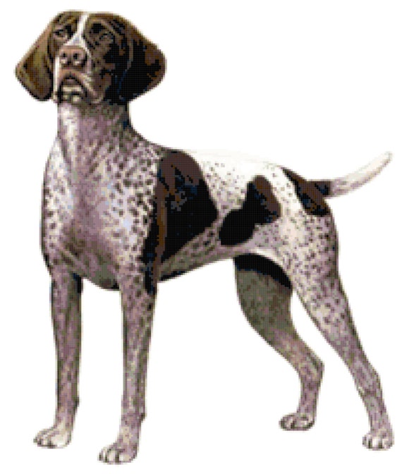 German Shorthaired Pointer Dog Counted Cross Stitch Pattern Etsy