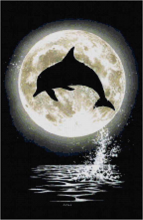 Dolphins In The Moonlight