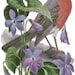 see more listings in the State Bird and Flower section