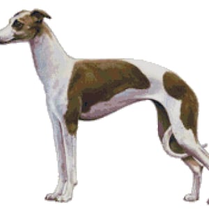 Italian Greyhound Dog Counted Cross Stitch Pattern