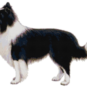 Border Collie Dog Counted Cross Stitch Pattern