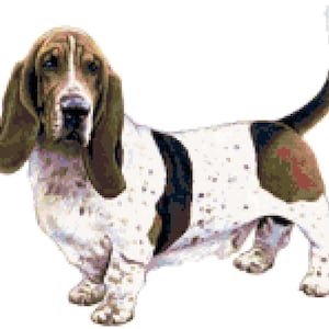 Basset Hound Dog Counted Cross Stitch Pattern