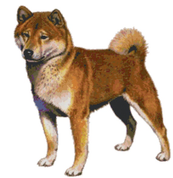 Hund Inu
