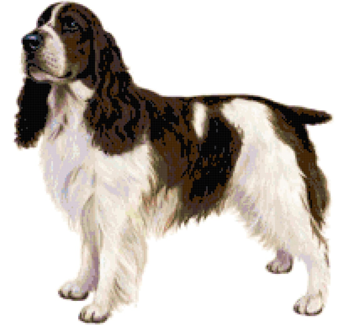 Springer Spaniel Pattern English Springer Spaniel Dog Counted Cross Stitch Pattern - Etsy