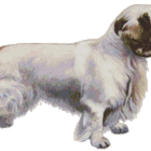 Clumber Spaniel Dog Counted Cross Stitch Pattern