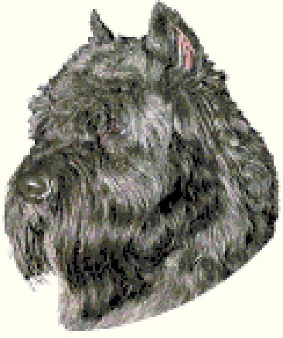 Bouvier des Flanders Car Sun Shade Bouvier des Flanders Car Sun Shade