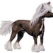 Chinese Crested Dog Counted Cross Stitch Pattern