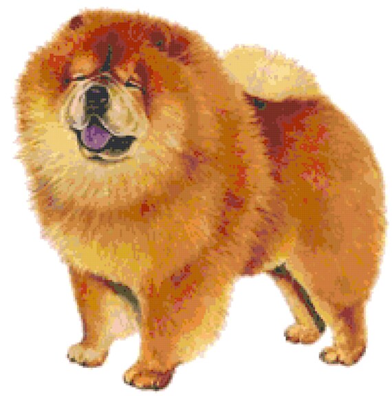 Buy Chow Chow Dog Counted Cross Stitch Pattern Online in India