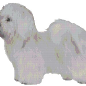 Patrón de punto de cruz contado de perro Coton de Tulear