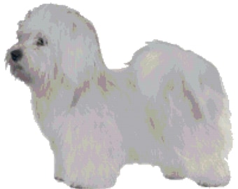 Coton de Tulear Dog Counted Cross Stitch Pattern