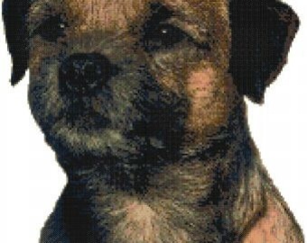 Border Terrier Dog Portrait Counted Cross Stitch Pattern