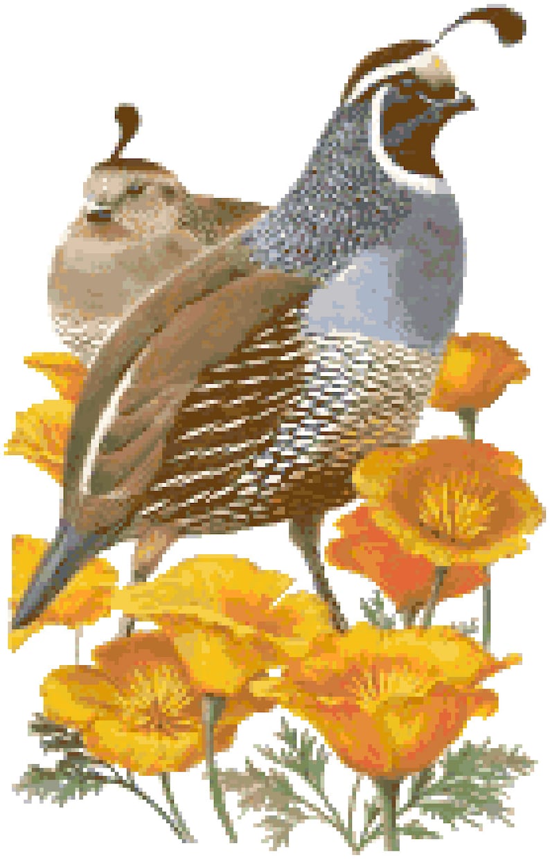 California State Bird & Flower Counted Cross Stitch Pattern - Etsy