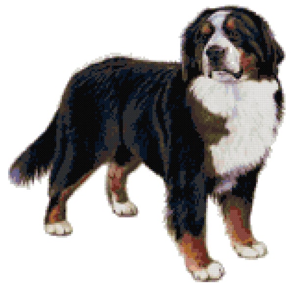 Bernese Mountain Dog Counted Cross Stitch Pattern