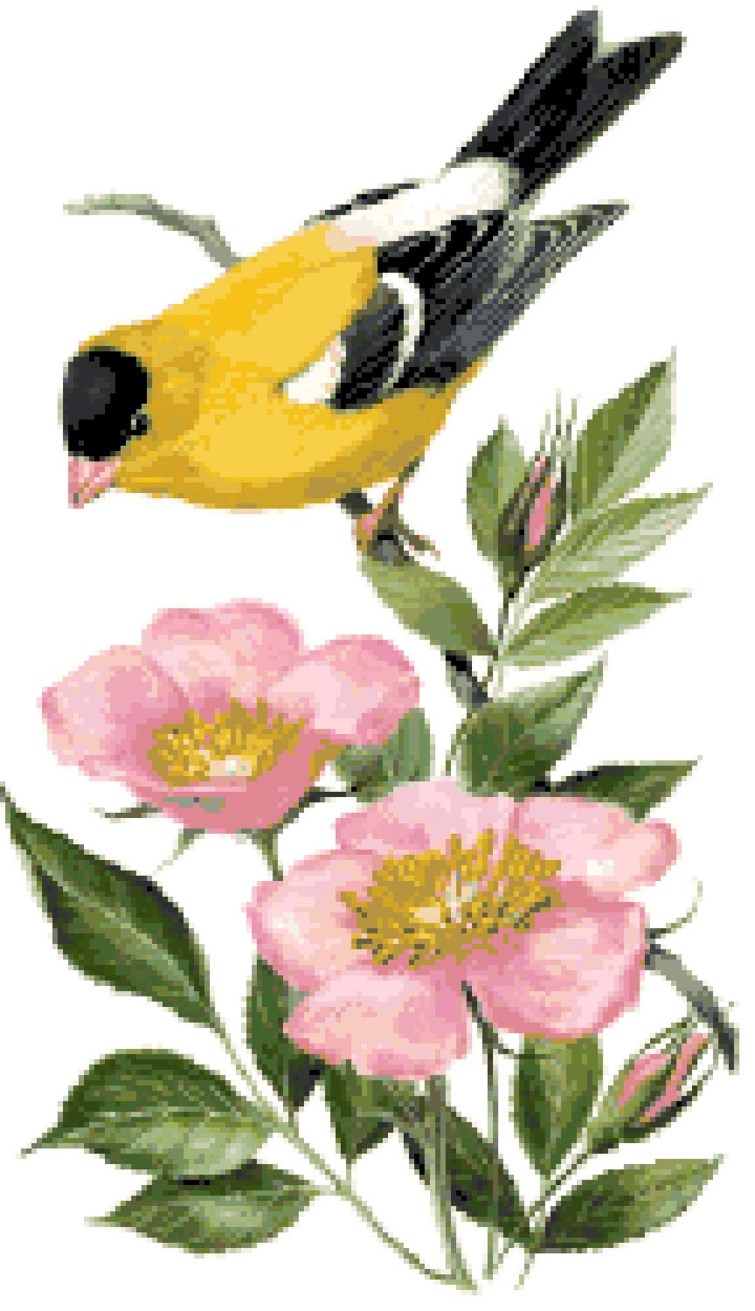 Iowa State Bird & Flower Counted Cross Stitch Pattern - Etsy