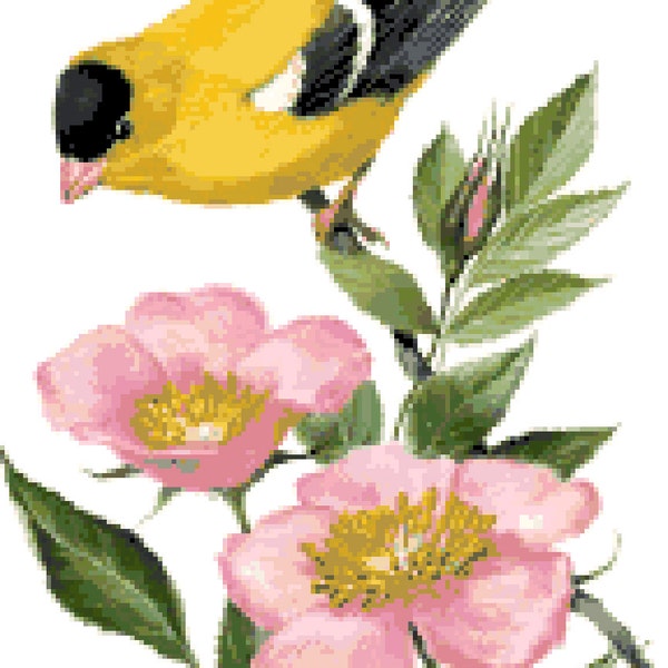 Iowa State Bird - Etsy