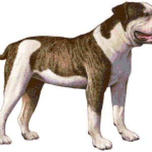American Bulldog Dog Counted Cross Stitch Pattern