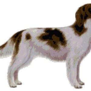 Irish Red & White Setter Dog Counted Cross Stitch Pattern